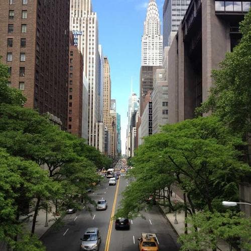 Pomada / Cera IMMORTAL NYC 1