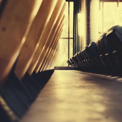 Polvo Volumen (Powder Cloud) 1