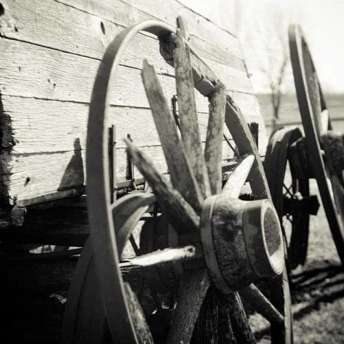 Scalp Energy Lotion (Ampollas 6x13ml) 1