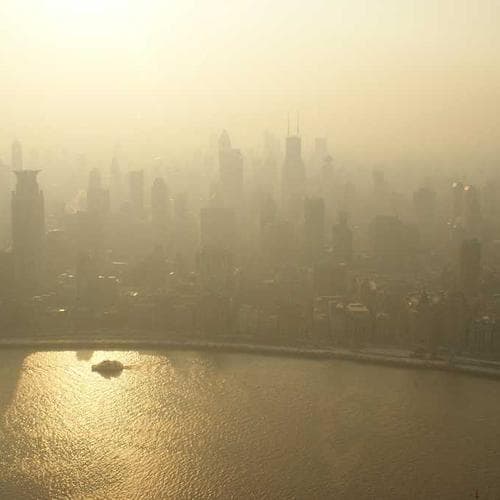 Shampoo Yellow 500ml 1