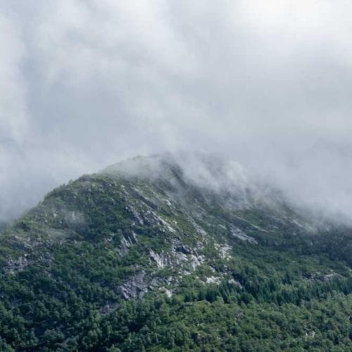 Cologne Body Splash 1