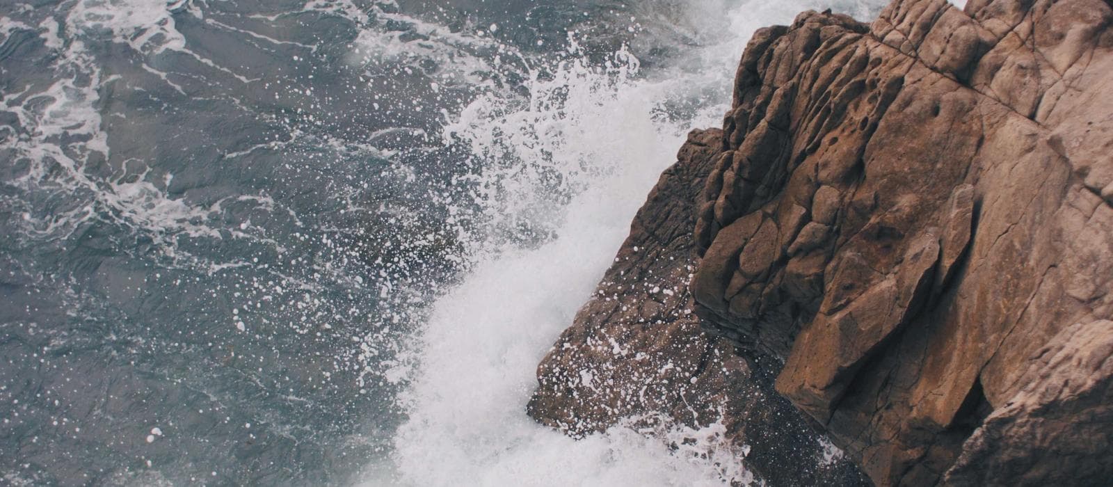 Baño de Color / Enjuague 1