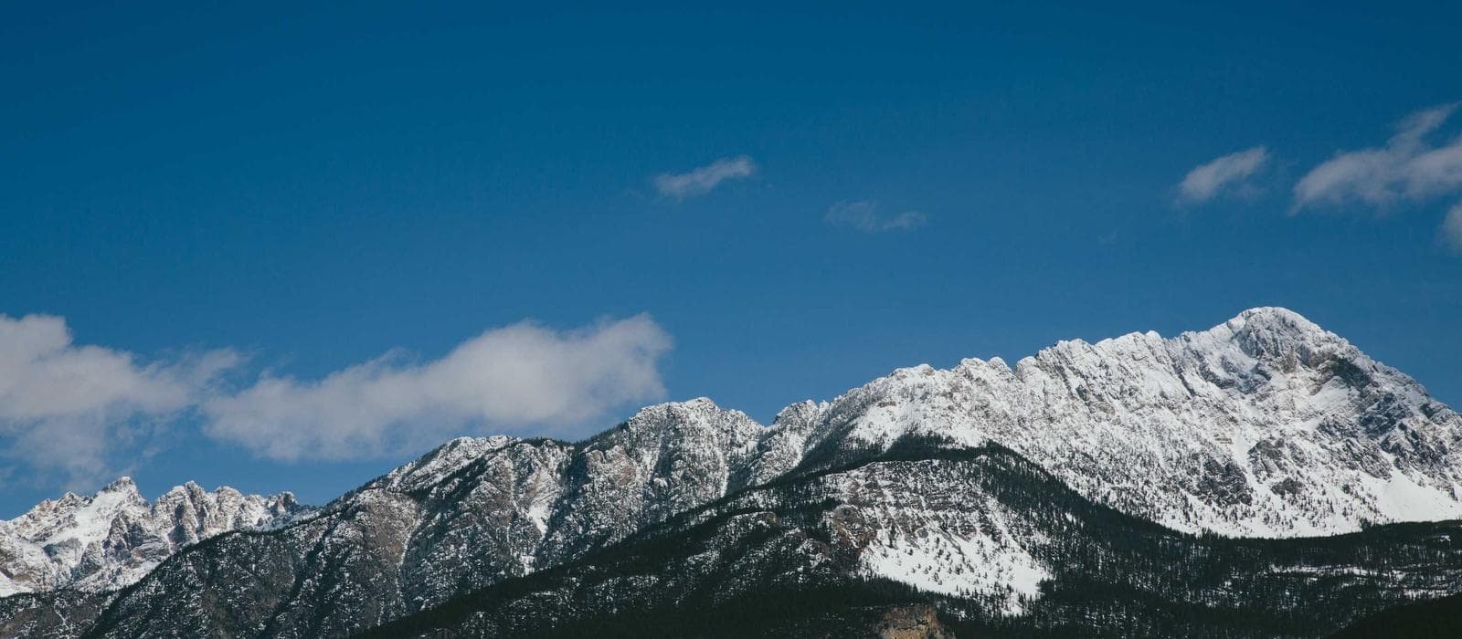 Combo Premium ⭐⭐⭐ 1