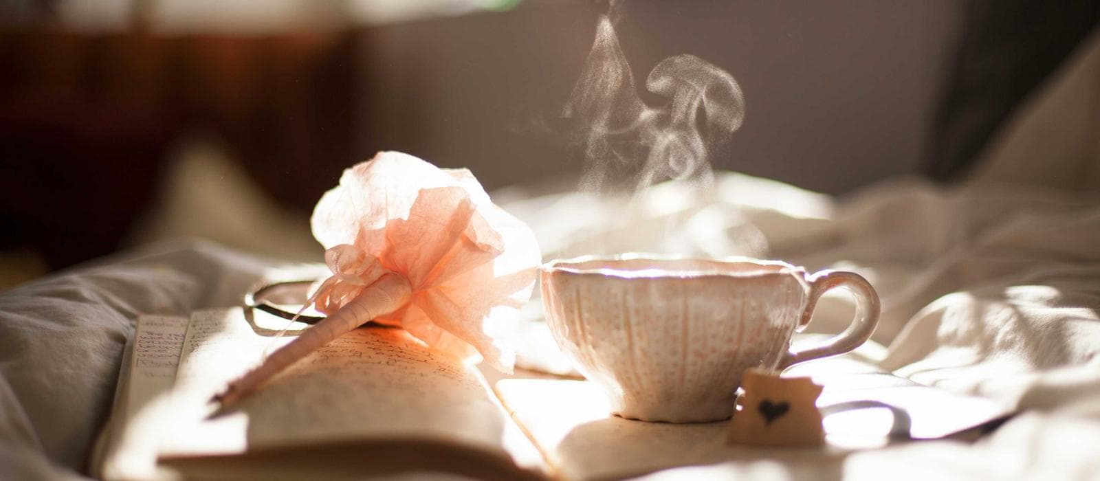 Corte Premium Gloss 1