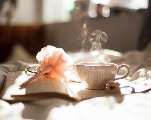 Corte Premium Gloss 1