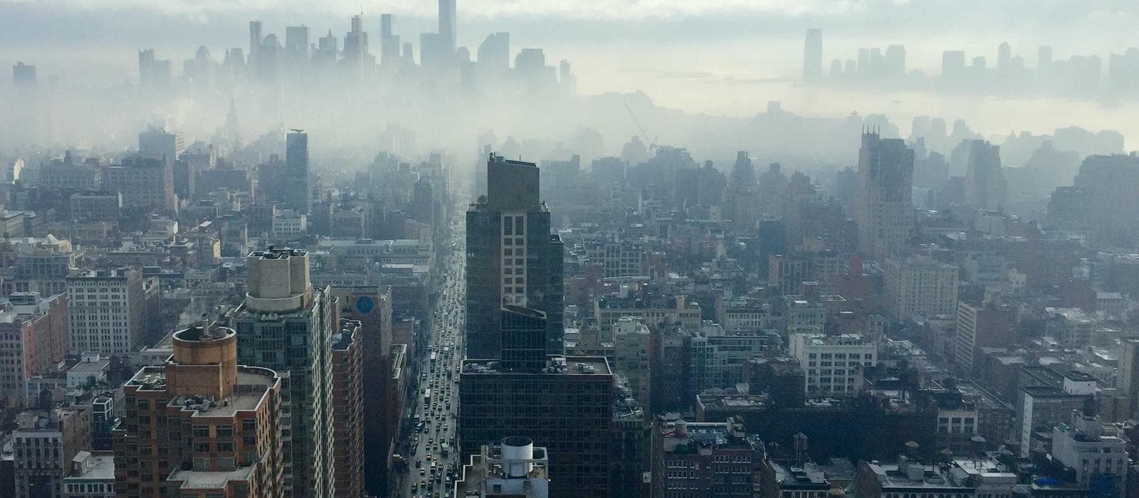 Diseño de Cejas Premium 1