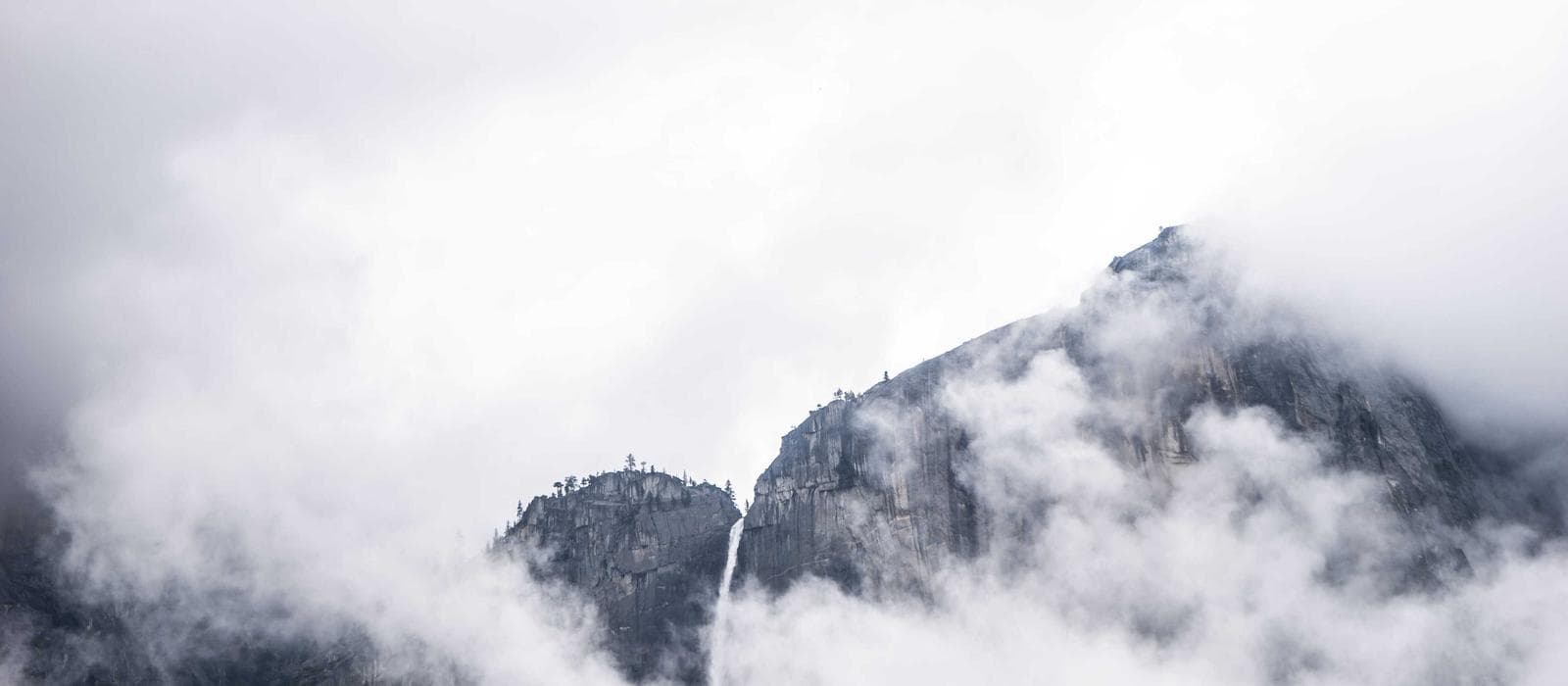 Toalla caliente facial 1