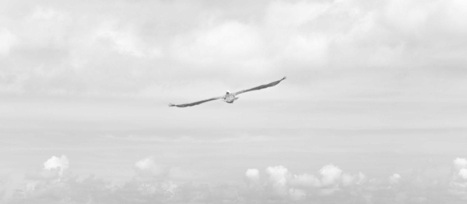 Manicure Tradicional 1