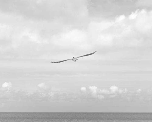 Manicure Tradicional 1