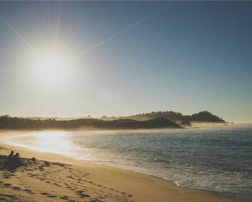 Set Nuevo Acrílico/Polygel (L) 1